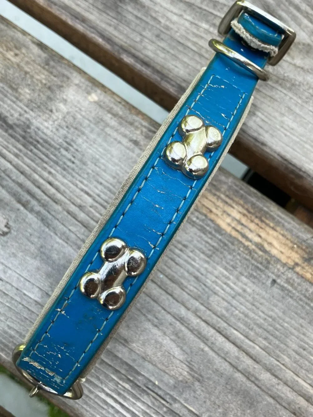 🐶💙 Blue Leather Studded Dog Collar | Silver Bone Studs | Thick Padded Collar |
